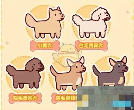 《我的休闲时光》狗狗领养方法