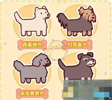 《我的休闲时光》萌宠乐园课程奖励内容