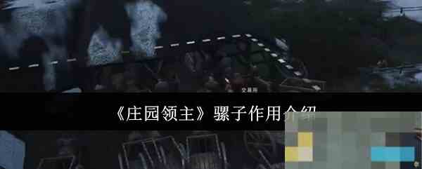 《庄园领主》骡子作用介绍