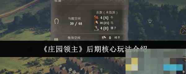 《庄园领主》后期核心玩法介绍