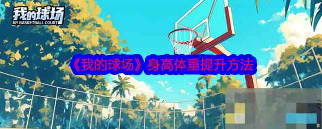 《我的球场》身高体重提升方法