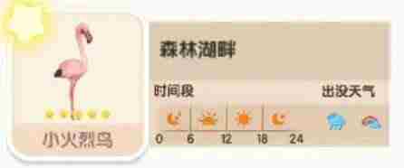 心动小镇小火烈鸟位置在哪 小火烈鸟位置介绍