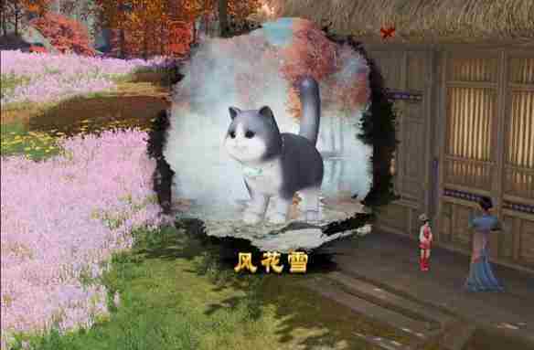 剑网3风花雪宠物奇遇怎么做 剑网3风花雪宠物奇遇详细流程奖励一览
