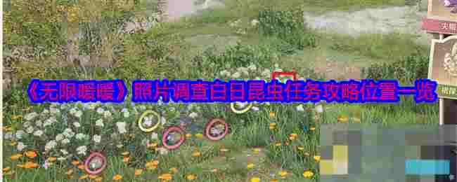 《无限暖暖》照片调查白日昆虫任务攻略位置一览