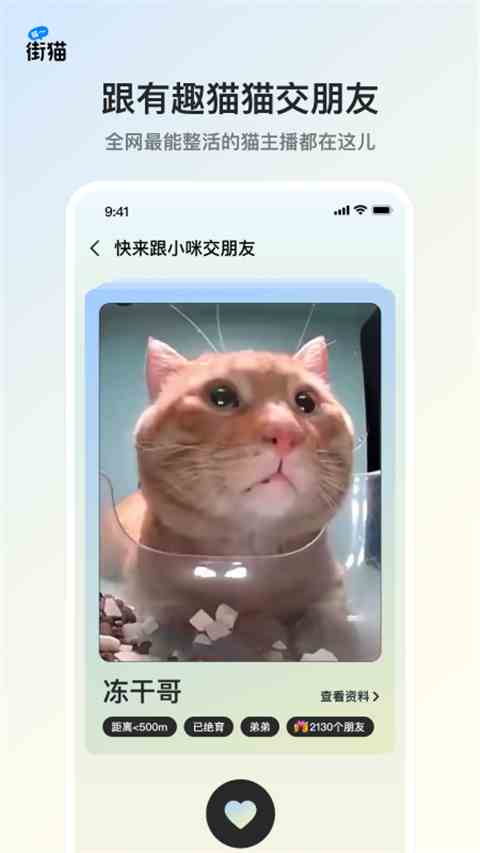 哈啰街猫app