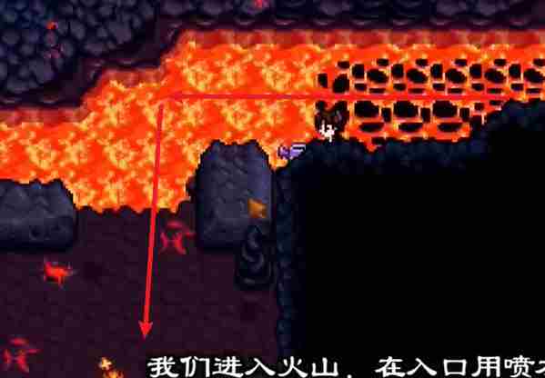 星露谷物语姜岛北部金核桃在哪 星露谷物语姜岛北部金核桃全收集攻略图17