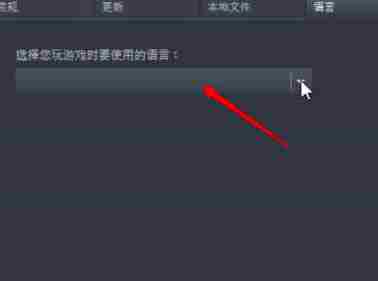 欧洲卡车模拟3中文怎么调 欧洲卡车模拟3中文设置方法图3