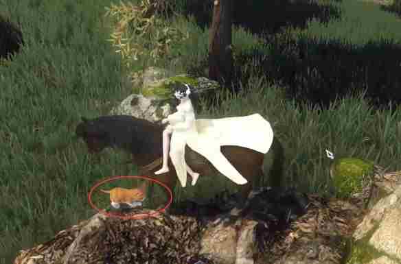 逆水寒手游捉猫记奇遇怎么做 捉猫记奇遇攻略图4