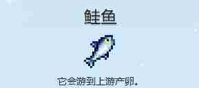 星露谷物语鲑鱼怎么收集 鲑鱼收集攻略图1