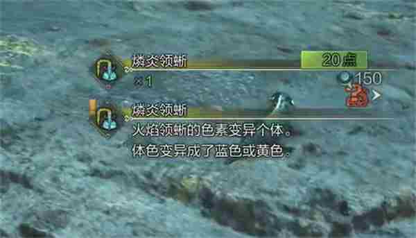 怪物猎人荒野燐炎领蜥具体位置分享图4