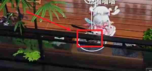 开放空间罗塔花园广场书籍在哪 开放空间罗塔花园广场书籍位置大全图7