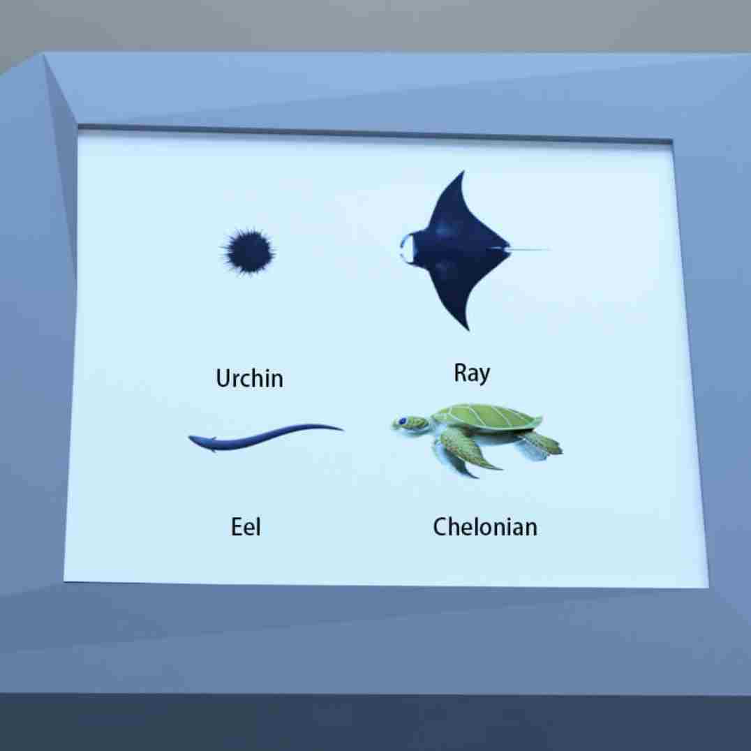 Escape Room圣诞节水族馆攻略图文详情 水族馆通关攻略图文详情图14
