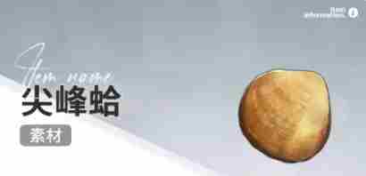 开放空间赶海物什么时候出现 开放空间赶海收集物出现时间图13