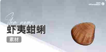 开放空间赶海物什么时候出现 开放空间赶海收集物出现时间图14