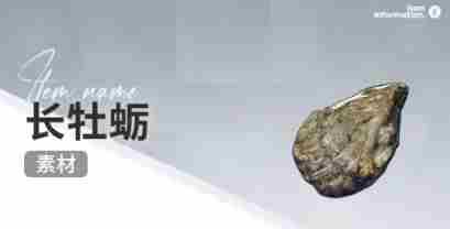 开放空间赶海物什么时候出现 开放空间赶海收集物出现时间图10