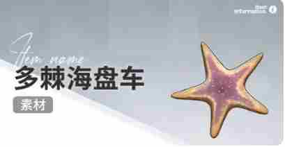 开放空间赶海物什么时候出现 开放空间赶海收集物出现时间图27