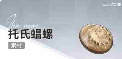 开放空间赶海物什么时候出现 开放空间赶海收集物出现时间图3