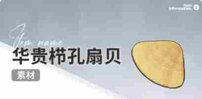 开放空间赶海物什么时候出现 开放空间赶海收集物出现时间图23
