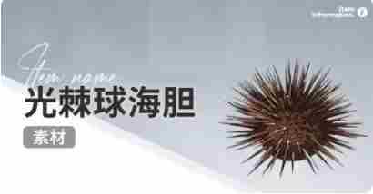 开放空间赶海物什么时候出现 开放空间赶海收集物出现时间图20