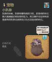 最终幻想14水晶世界如何获取小犰狳 最终幻想14水晶世界小犰狳获取方法图1