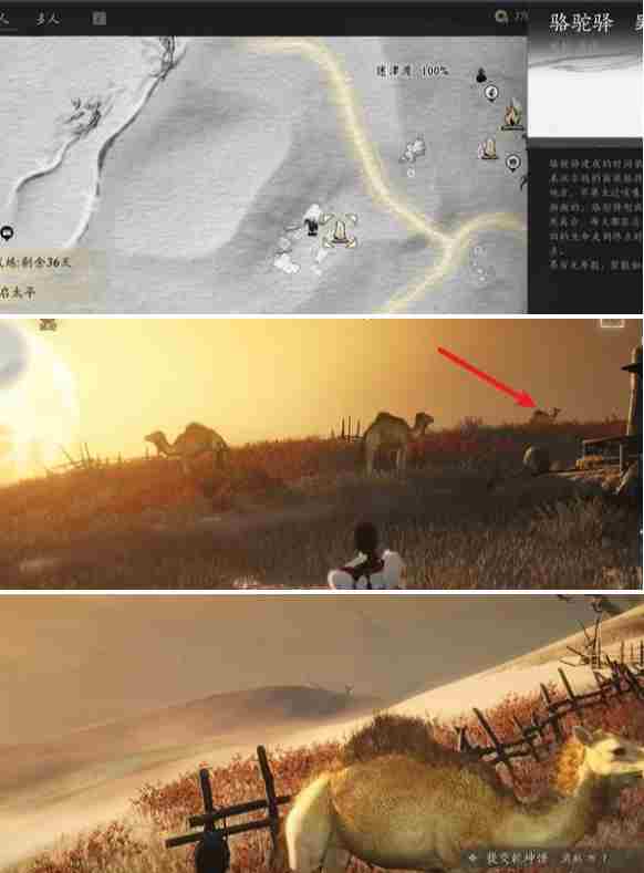 燕云十六声骆驼铃铛任务怎么做 燕云十六声万事知骆驼铃铛任务攻略图5
