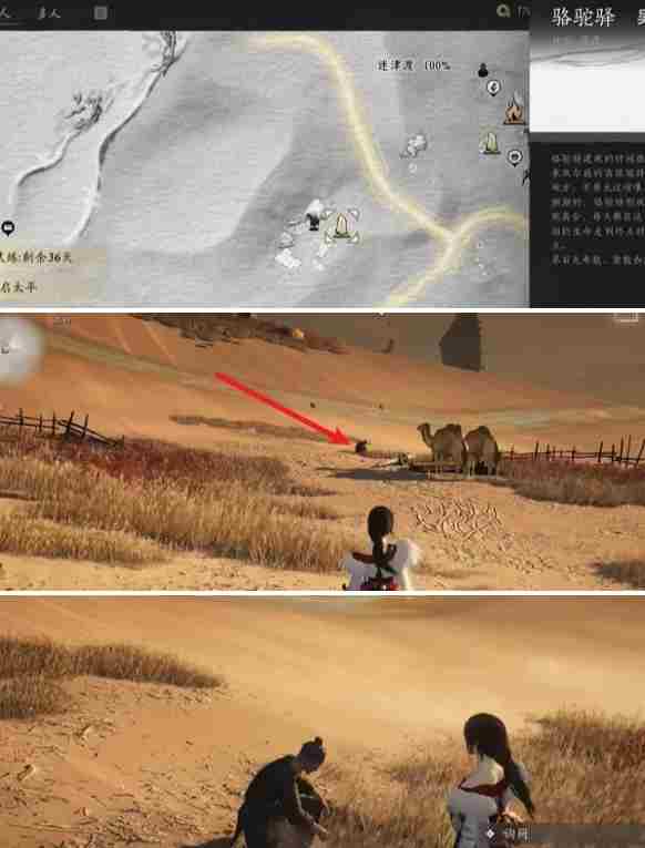 燕云十六声骆驼铃铛任务怎么做 燕云十六声万事知骆驼铃铛任务攻略图2