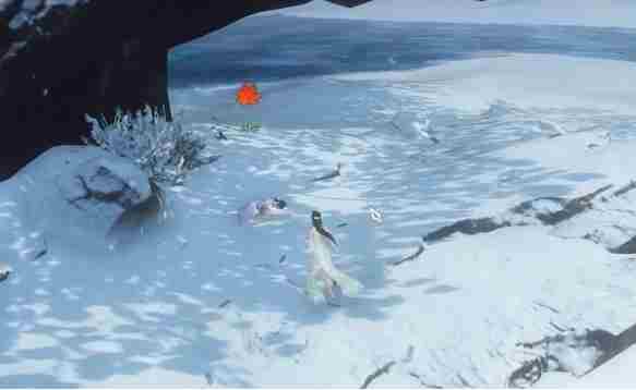 逆水寒手游冰雪寒梅奇遇怎么做 逆水寒手游冰雪寒梅奇遇任务攻略图2