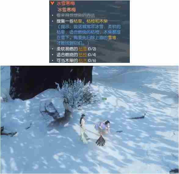 逆水寒手游冰雪寒梅奇遇怎么做 逆水寒手游冰雪寒梅奇遇任务攻略图3