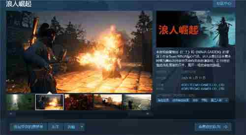 PC版浪人崛起空间需求超149G引外媒吐槽优化不足