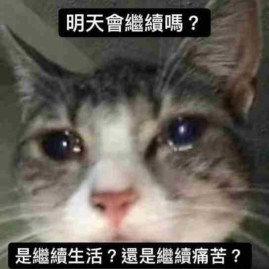 独立游戏维权遭遇封号危机大公司新游涉嫌抄袭风波