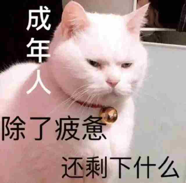 MMORPG不只有老玩家独享油腻师姐攻略新视角