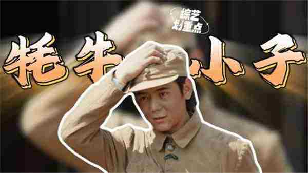 丁真牦牛演技引网友热议