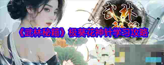武林秘籍极葵花神针学习攻略新手入门教程