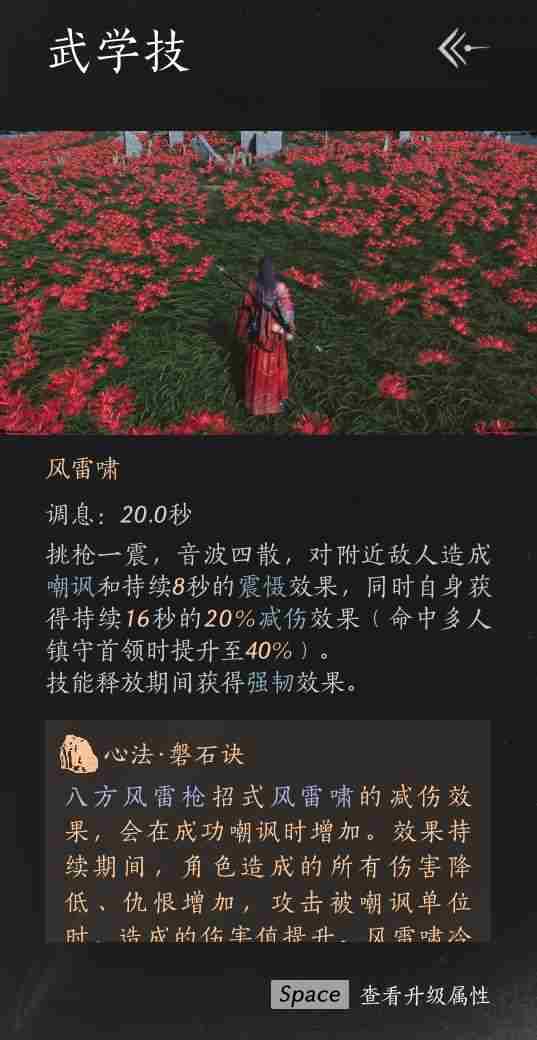 燕云十六声T扇合一流团本怎么打？T扇合一流打法配装攻略图片6