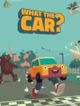 WHAT THE CAR