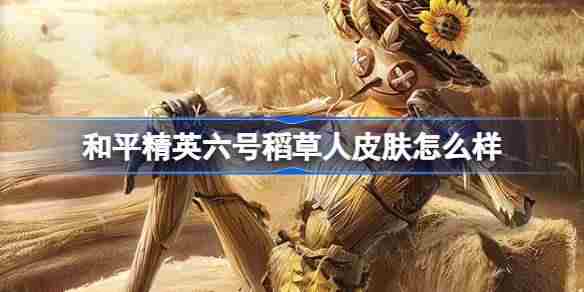 和平精英六号稻草人怎么样 和平精英六号稻草人皮肤价格