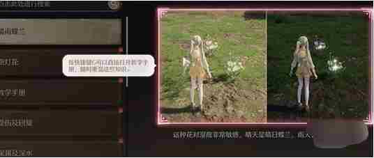 无限暖暖许愿之地任务如何完成 许愿之地任务完成方法