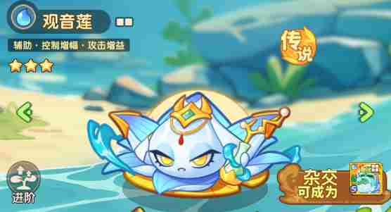 《保卫向日葵》观音莲植物图鉴