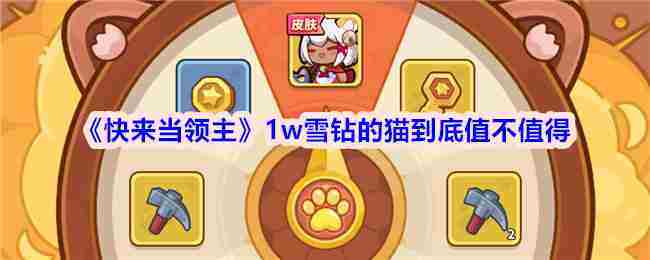 《快来当领主》1w雪钻的猫到底值不值得