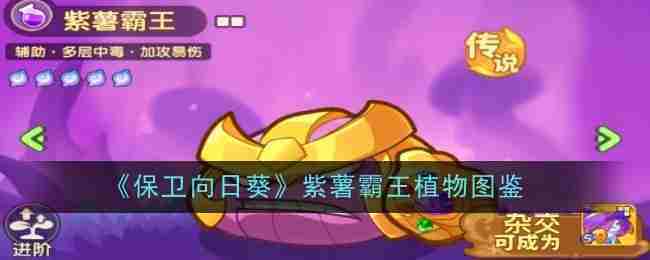 《保卫向日葵》紫薯霸王植物图鉴