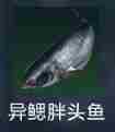 《星球重启》异鳃胖头鱼位置在哪