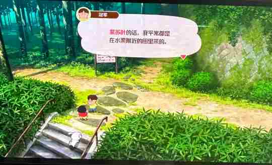 《蜡笔小新煤炭镇的小白》紫苏叶位置介绍
