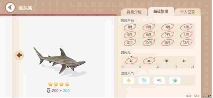《心动小镇手游》锤头鲨钓鱼时间地点介绍