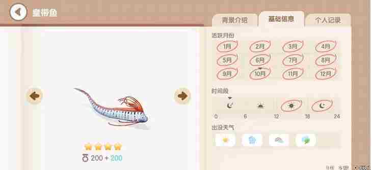 《心动小镇手游》皇带鱼钓鱼时间地点介绍