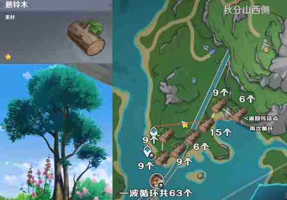 《原神》4.3枫丹五种树木砍伐路线