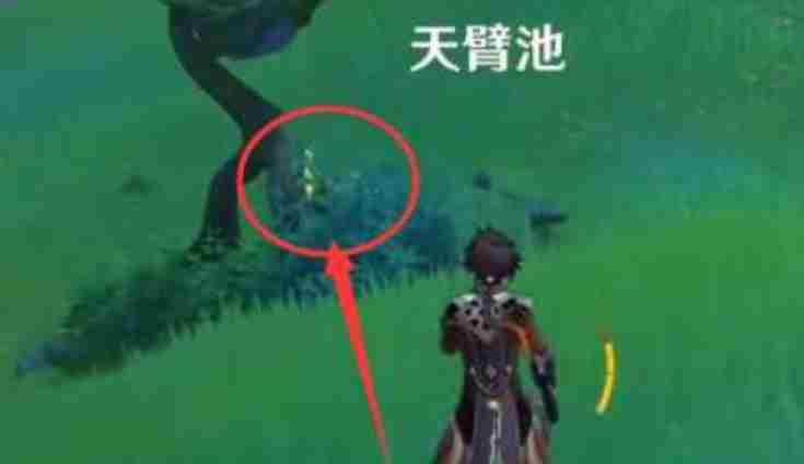 《原神》天臂池草神瞳怎么拿