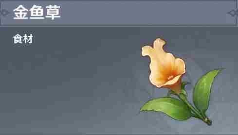 《原神》金鱼草怎么获得