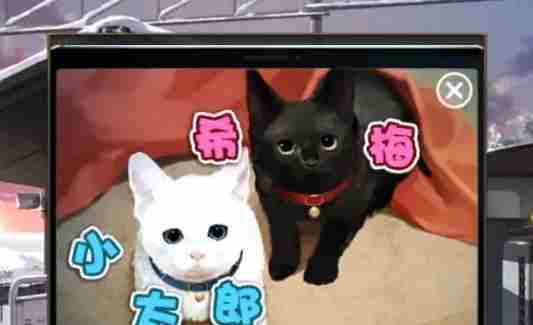 《失物终点站2》第六关攻略