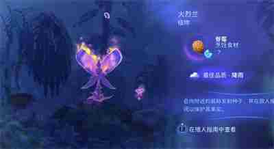 《阿凡达潘多拉边境》实地考察攻略