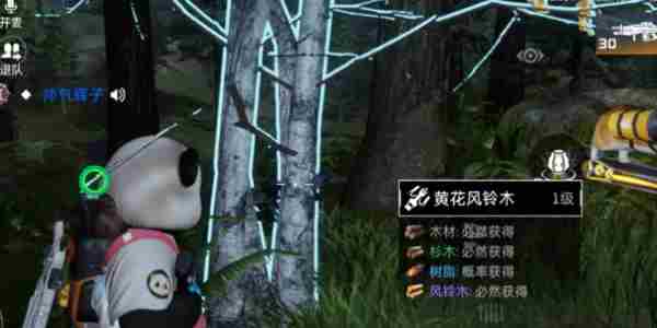 《星球重启》黄花风铃木在哪